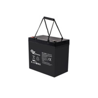UPS ITALIA - OZP 12V-60AH Batteria al piombo ricaricabile